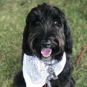 Meet your Posher, Brent